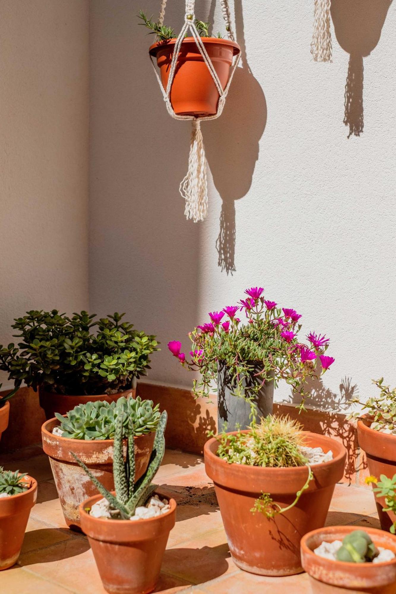 Casa Creativa Λάγος Εξωτερικό φωτογραφία